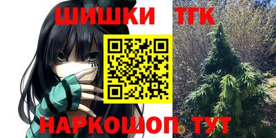 крисы Новозыбков